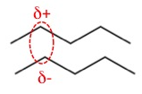 This image is of two molecules of pentane CCCCC. There is a dashed oval encompassing part of each molecule. The oval is labelled with a delta plus symbol at one end and a delta minus symbol at the other end. The oval indicates that transient van der Waals interactions are forming between the atoms of the two molecules.