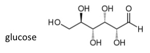 This image is of glucose: C(C(C(C(C(C=O)O)O)O)O)O