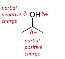 This image is of propanol: CCCO. The O is labelled with a delta minus to indicate that it has a partial negative charge symbol. The C and H that are attached to this O atom are each labelled with a delta plus symbol to indicate that they each have partial positive charges.